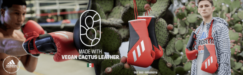 Detail Cactus Leather Boxing Gloves Nomer 49