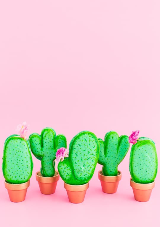 Detail Cactus Macaron Template Nomer 10