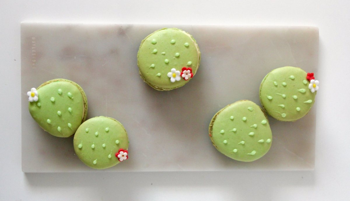 Detail Cactus Macaron Template Nomer 18