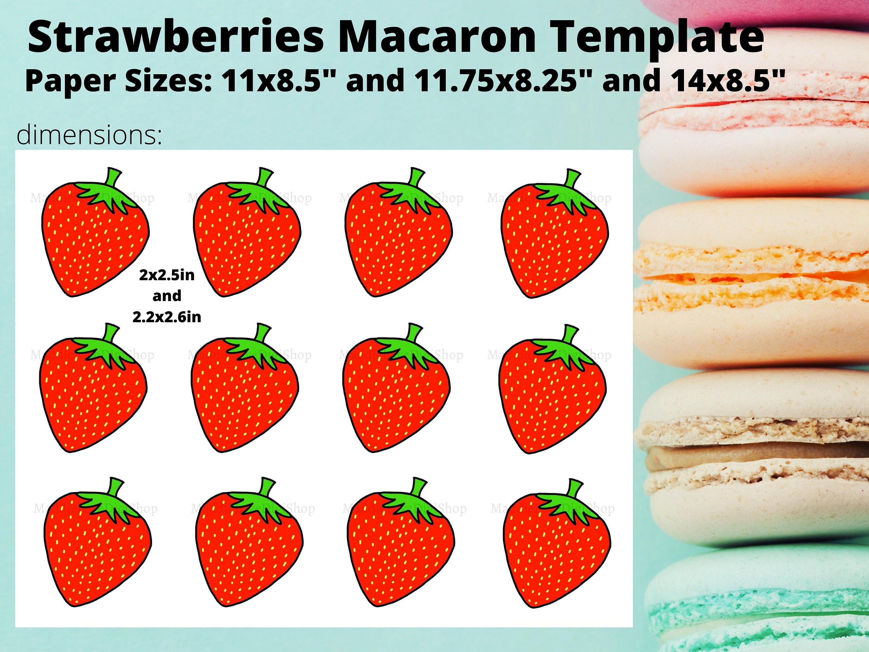 Detail Cactus Macaron Template Nomer 23