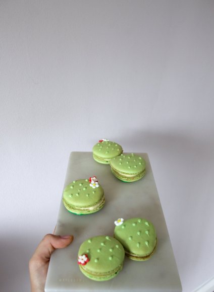 Detail Cactus Macaron Template Nomer 25