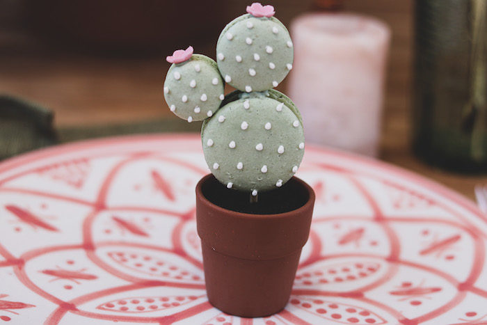 Detail Cactus Macaron Template Nomer 26