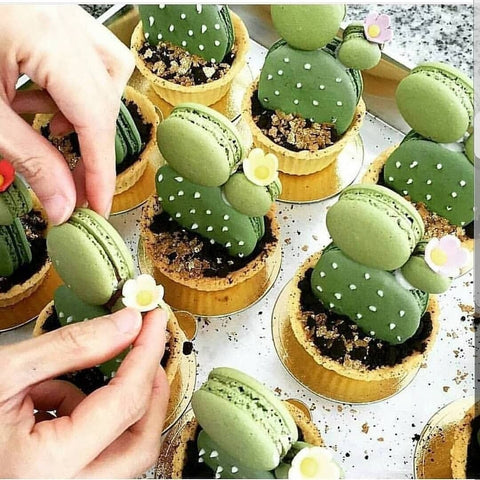 Detail Cactus Macaron Template Nomer 41