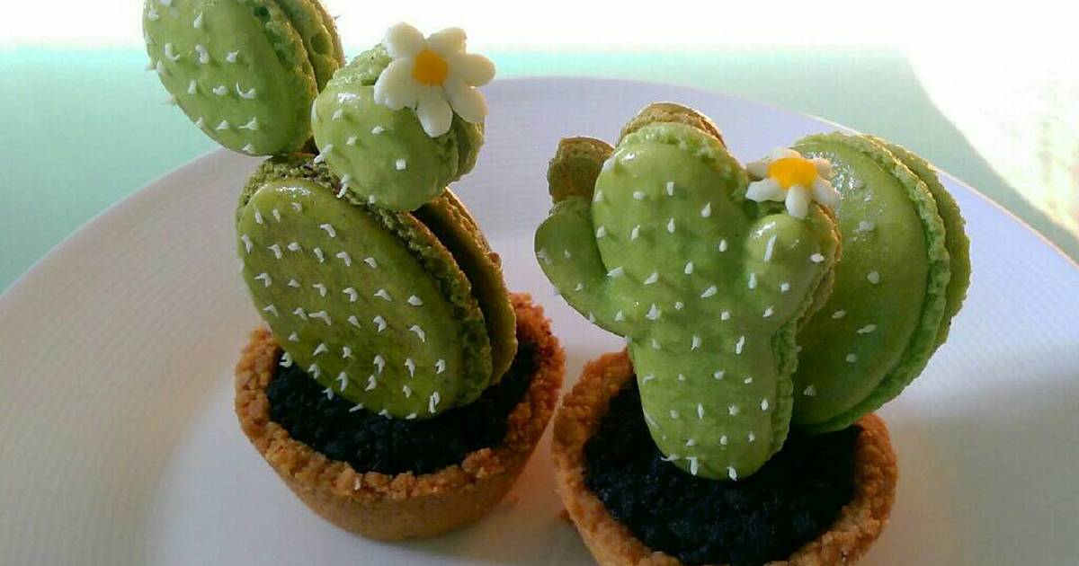 Detail Cactus Macaron Template Nomer 5