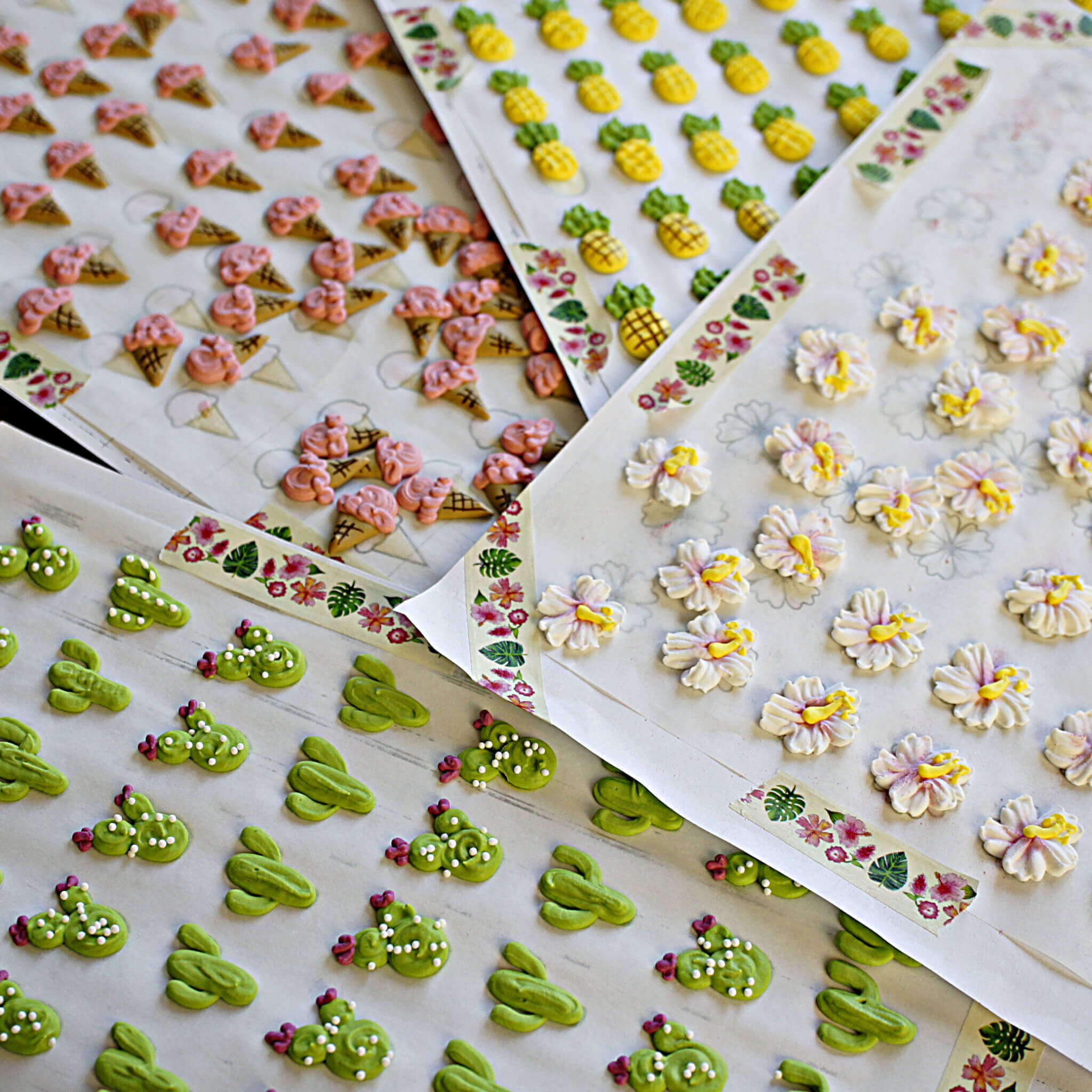 Detail Cactus Macaron Template Nomer 46