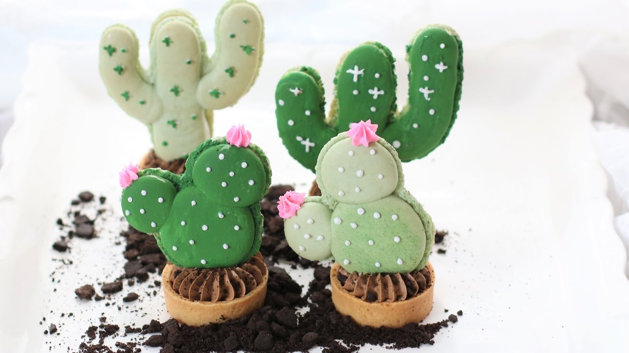 Detail Cactus Macaron Template Nomer 6