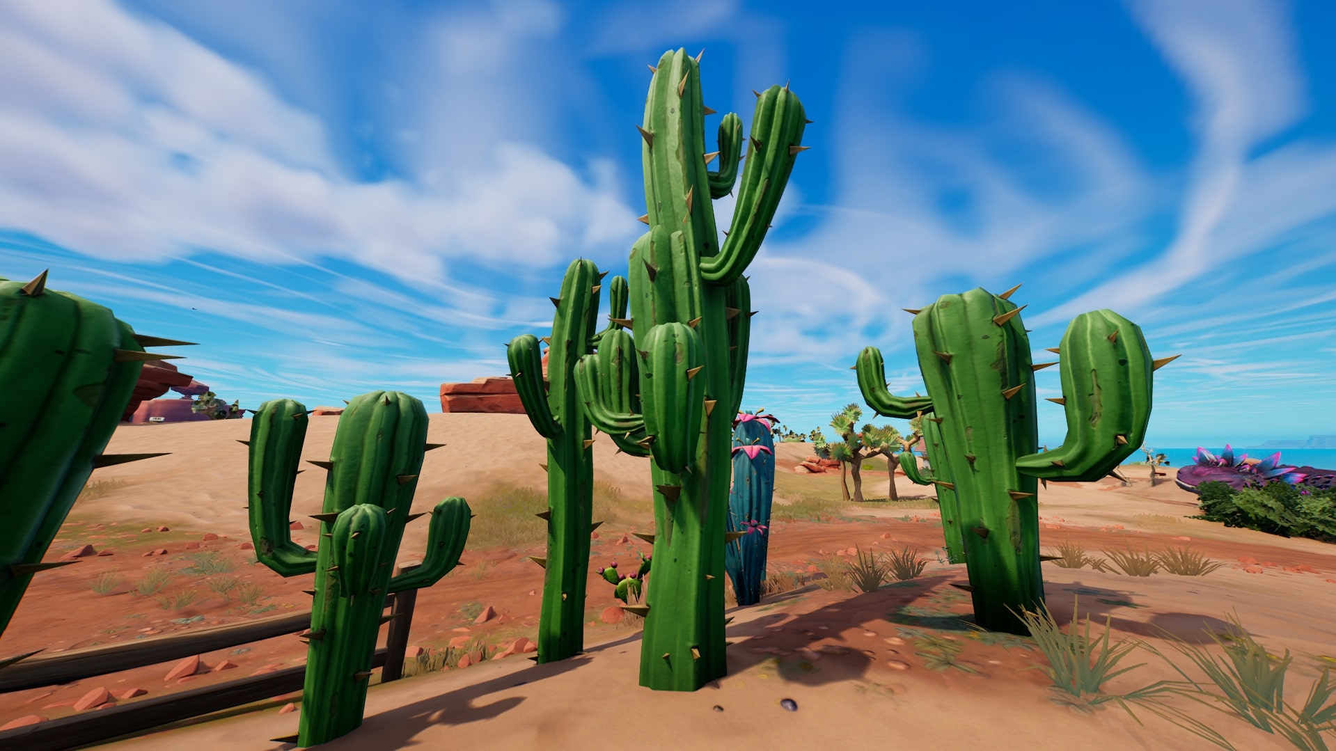 Detail Cactus Pic Nomer 20