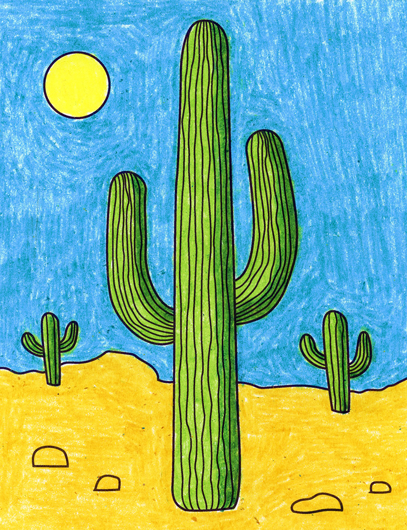 Detail Cactus Picture Nomer 13