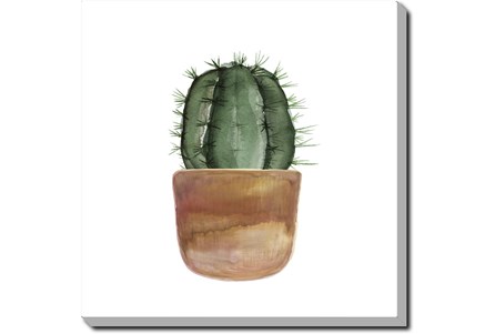Detail Cactus Picture 94 Nomer 7