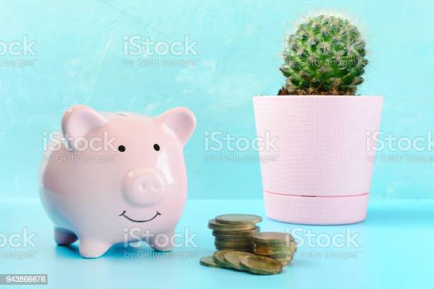 Detail Cactus Piggy Bank Nomer 25