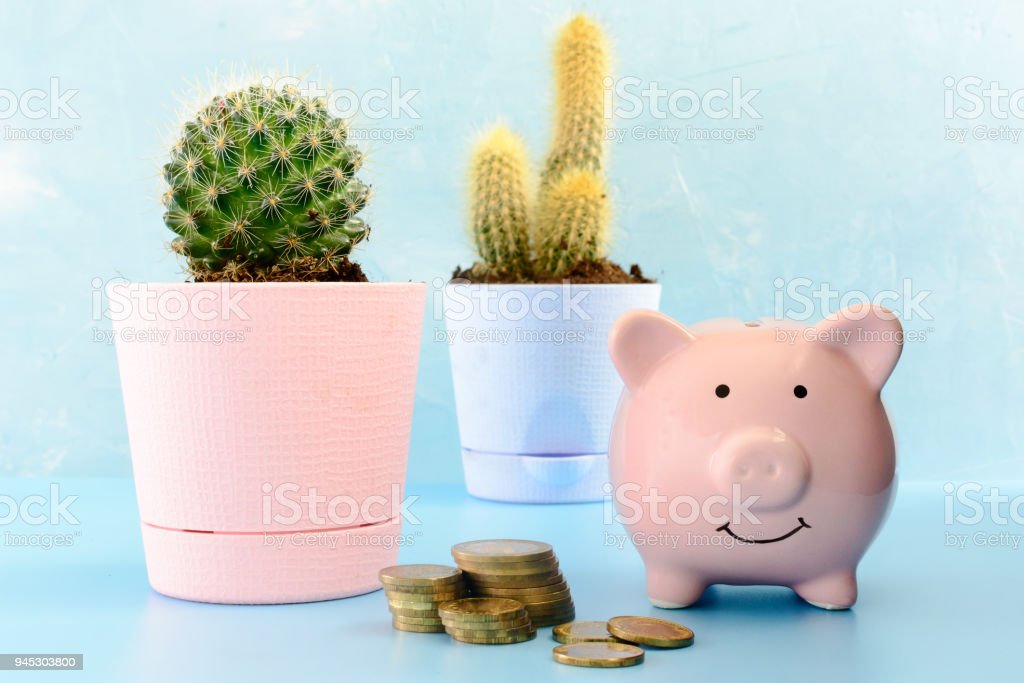 Detail Cactus Piggy Bank Nomer 31