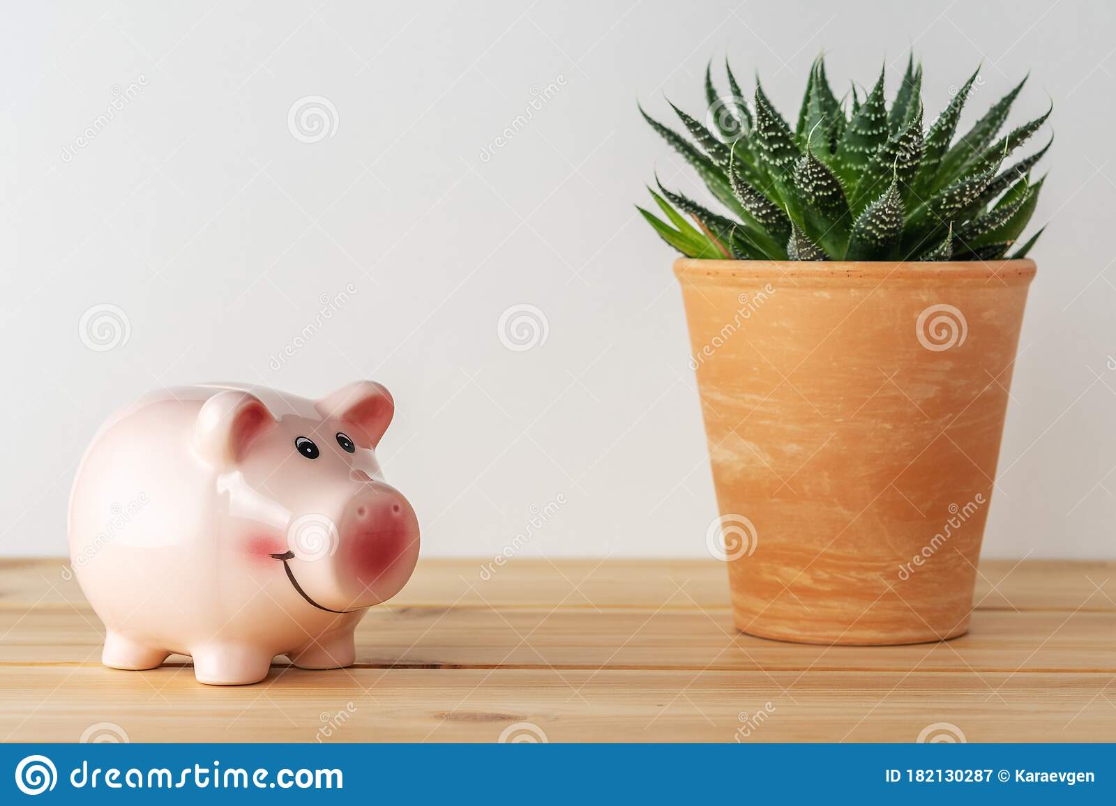 Detail Cactus Piggy Bank Nomer 52