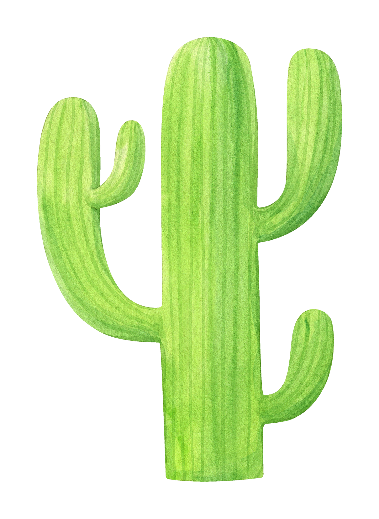 Detail Cactus Png Nomer 13