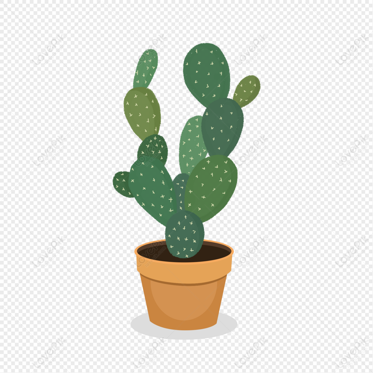 Detail Cactus Png Nomer 15