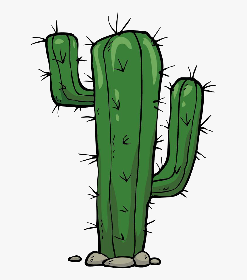 Cactus Png Clipart - KibrisPDR