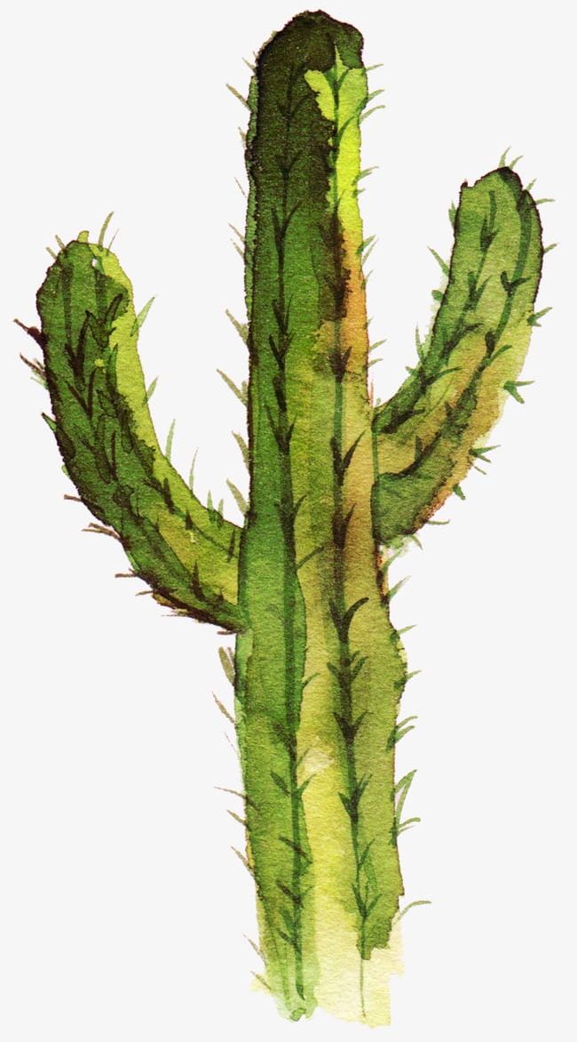 Detail Cactus Png Clipart Nomer 48