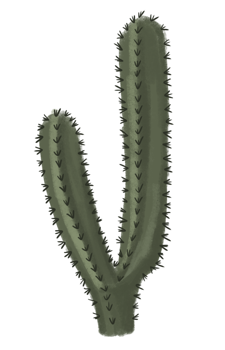 Detail Cactus Png Clipart Nomer 56