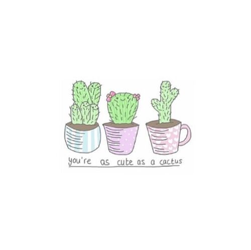 Cactus Quotes Tumblr - KibrisPDR