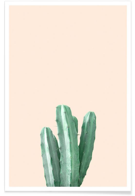 Detail Cactus Quotes Tumblr Nomer 20