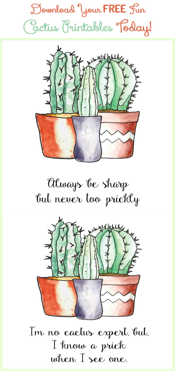 Detail Cactus Quotes Tumblr Nomer 41