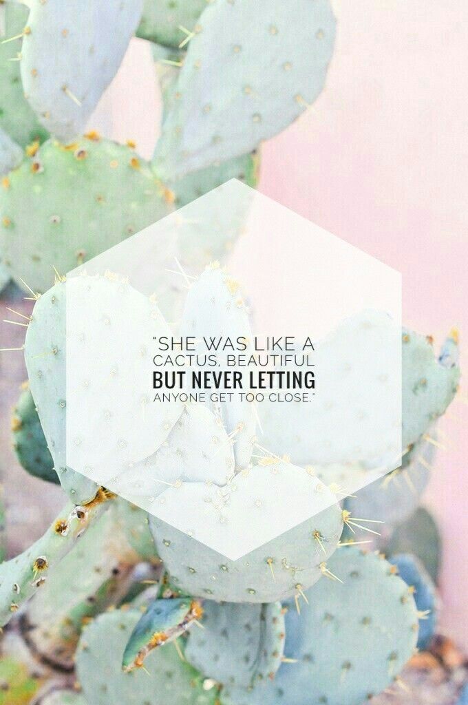 Detail Cactus Quotes Tumblr Nomer 9