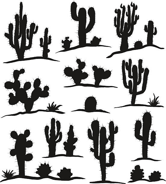 Detail Cactus Silhouettes Nomer 3