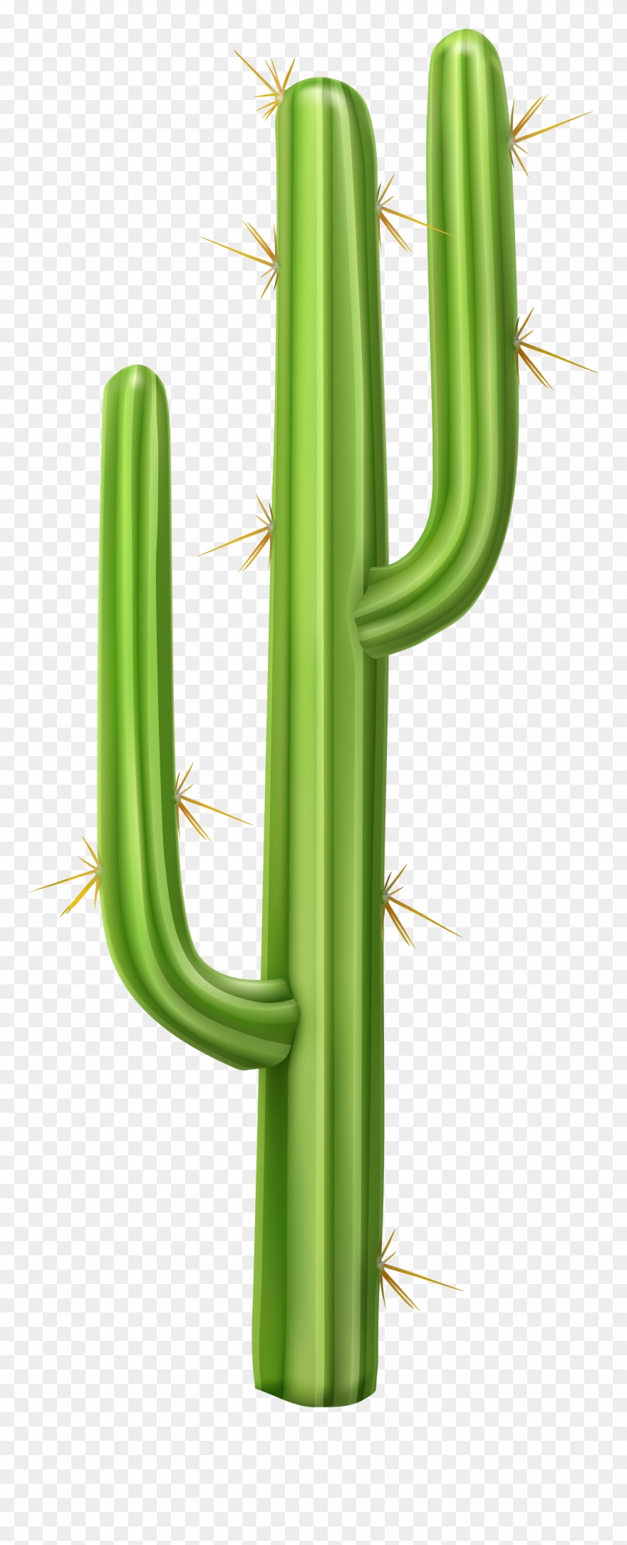 Detail Cactus Transparent Nomer 13