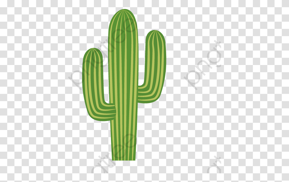Detail Cactus Transparent Nomer 26