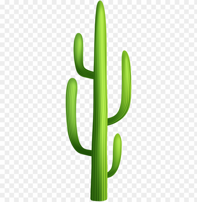 Detail Cactus Transparent Nomer 32