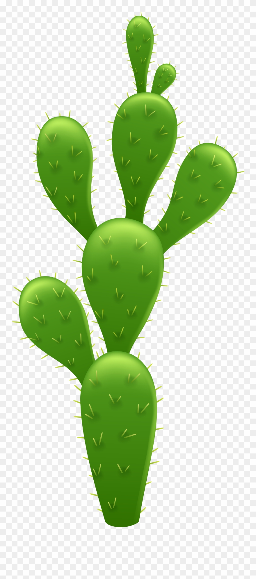 Detail Cactus Transparent Nomer 42