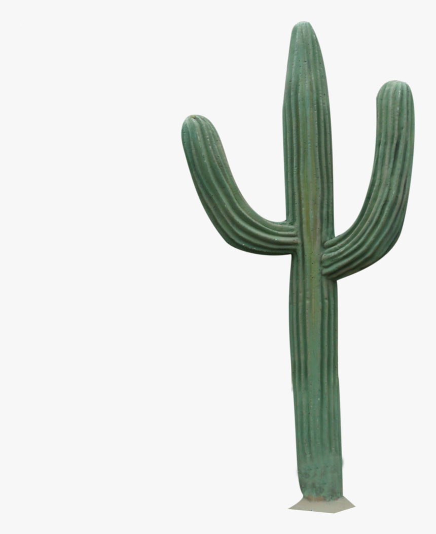 Detail Cactus Transparent Nomer 5