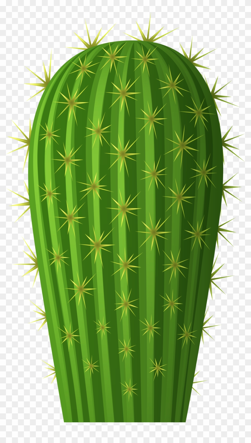 Detail Cactus Transparent Nomer 51