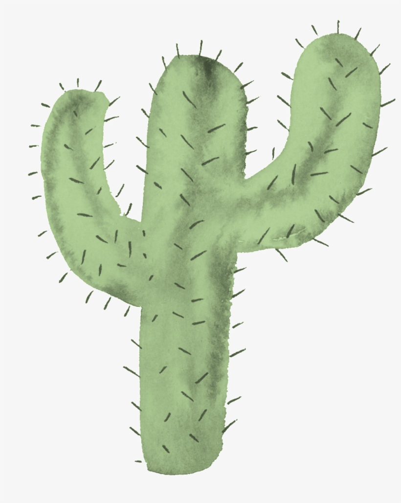 Detail Cactus Transparent Nomer 7