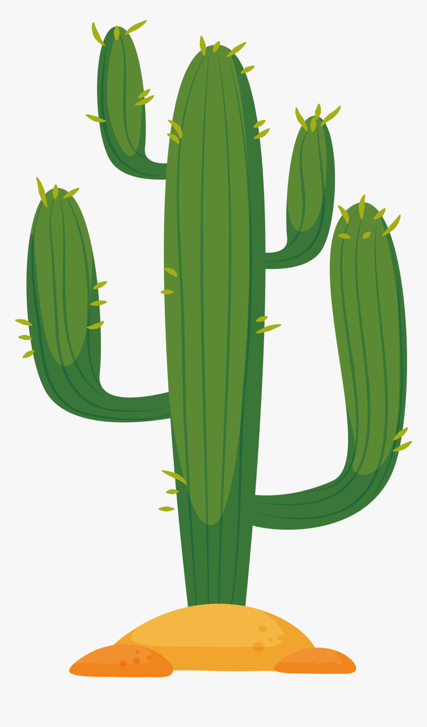 Detail Cactus Transparent Nomer 9