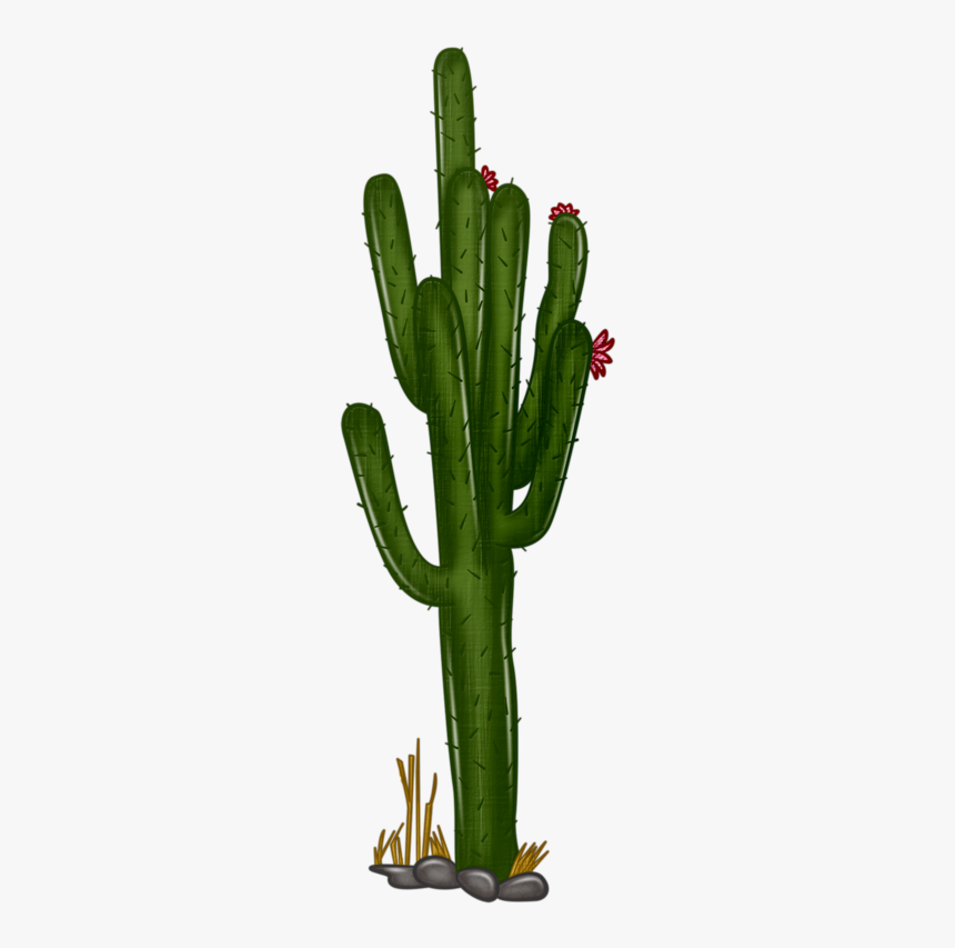 Detail Cactus Transparent Background Nomer 21