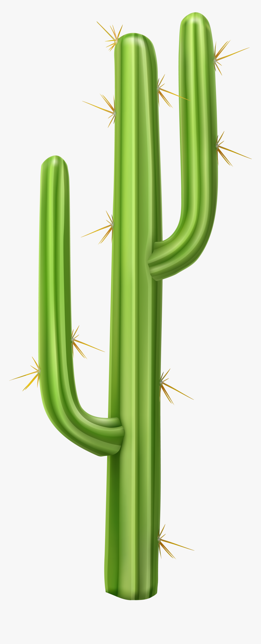 Detail Cactus Transparent Background Nomer 6