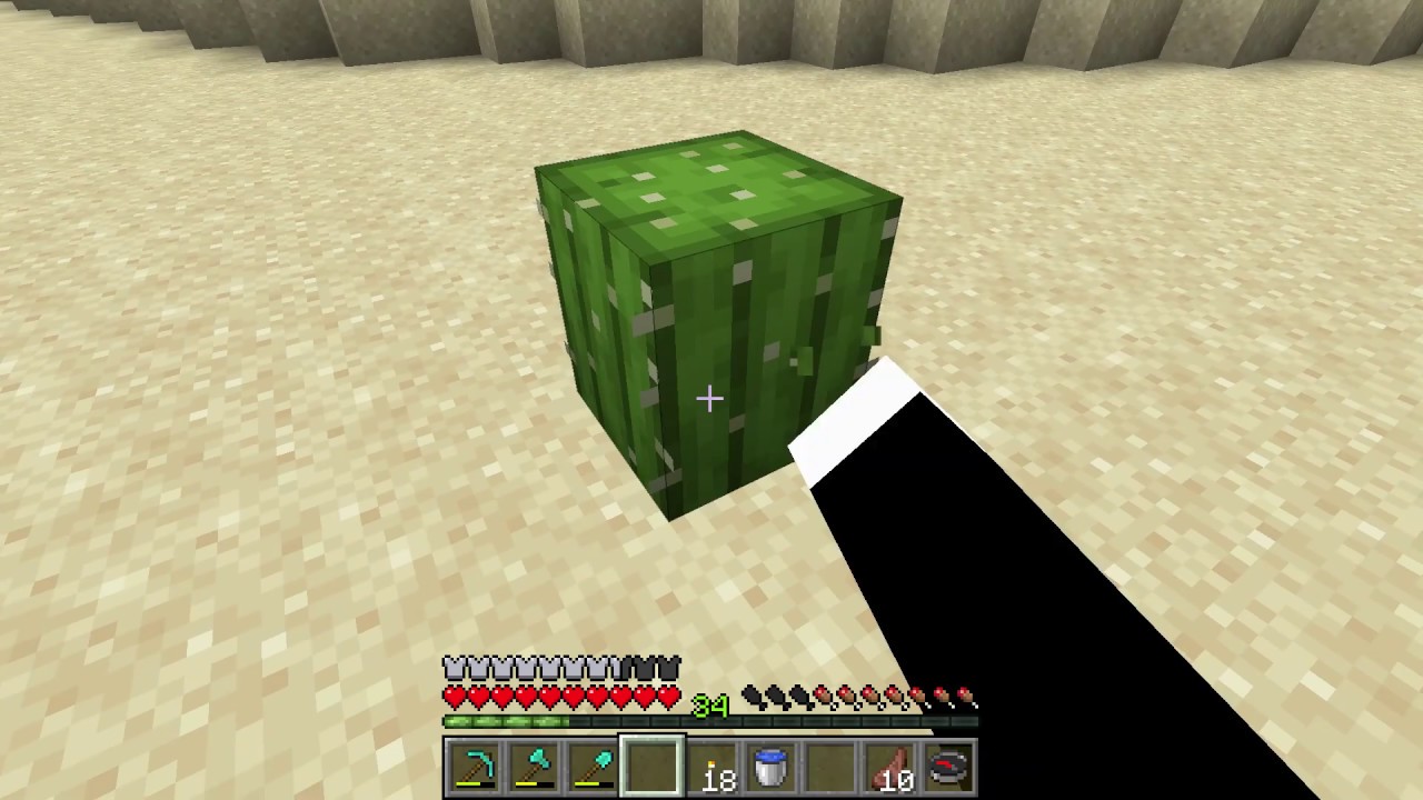 Detail Cactus Trash Can Minecraft Nomer 2