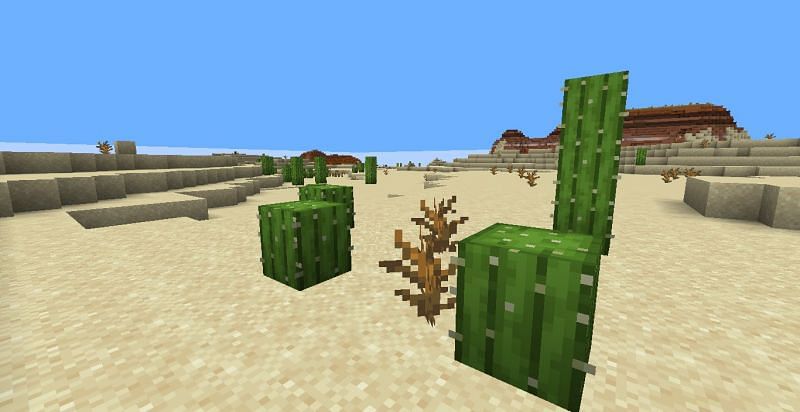 Detail Cactus Trash Can Minecraft Nomer 32