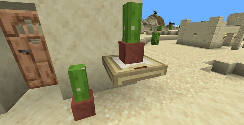 Detail Cactus Trash Can Minecraft Nomer 34