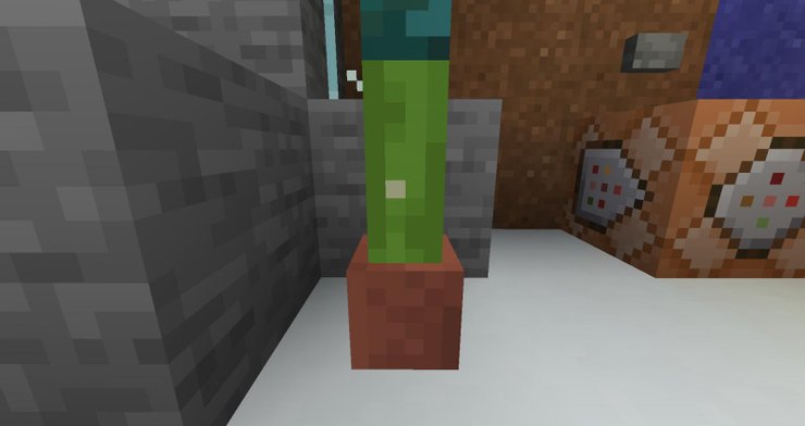 Detail Cactus Trash Can Minecraft Nomer 52