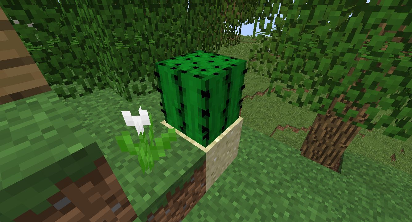 Detail Cactus Trash Can Minecraft Nomer 7