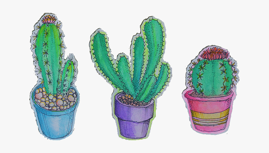 Detail Cactus Tumblr Nomer 15