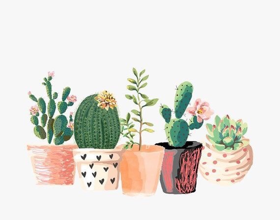 Detail Cactus Tumblr Nomer 16