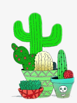 Detail Cactus Tumblr Nomer 34