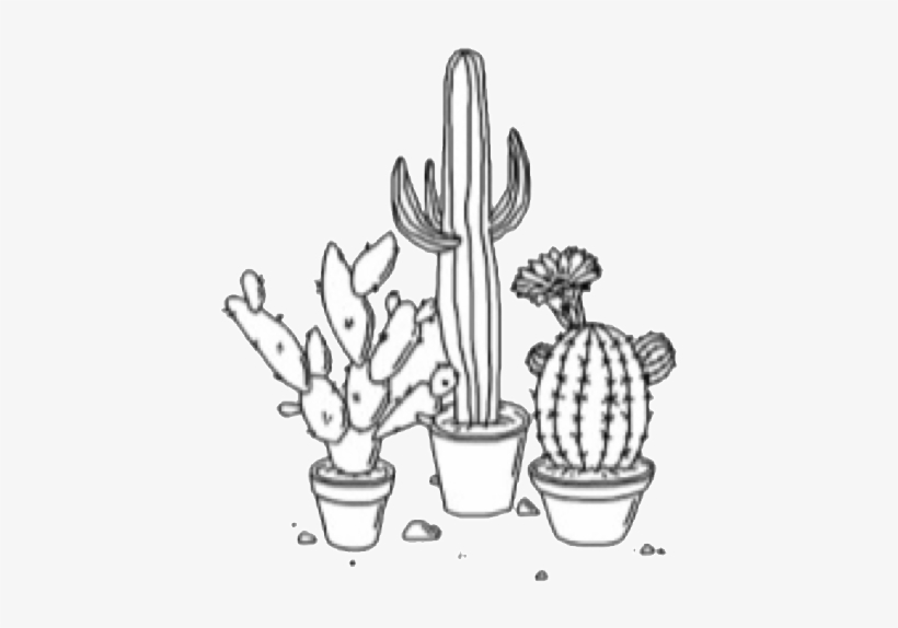 Detail Cactus Tumblr Nomer 57