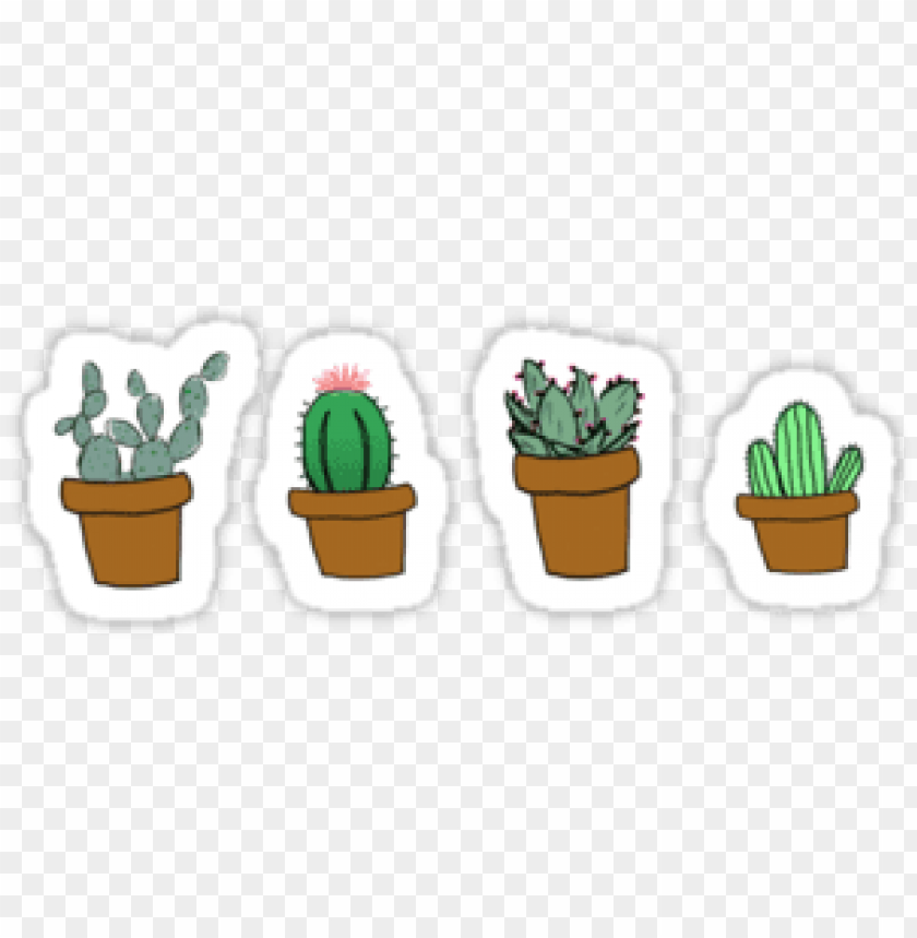 Detail Cactus Tumblr Png Nomer 2