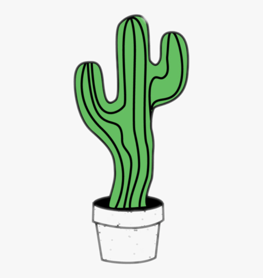 Detail Cactus Tumblr Png Nomer 14