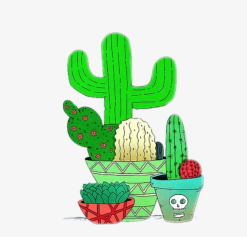 Detail Cactus Tumblr Png Nomer 16