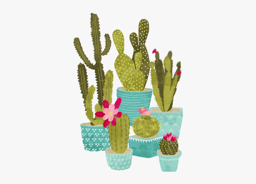 Detail Cactus Tumblr Png Nomer 19