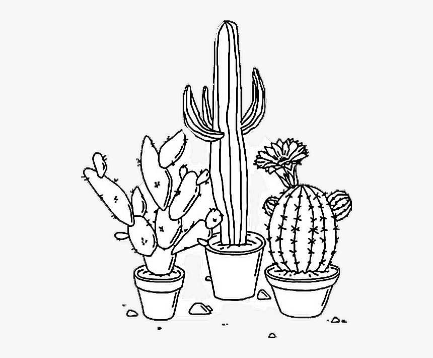 Detail Cactus Tumblr Png Nomer 35